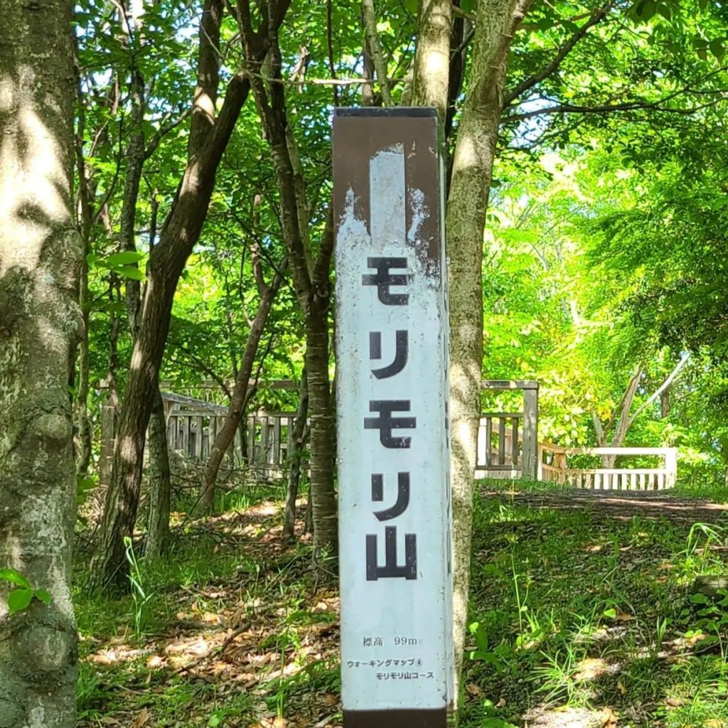 新緑の季節になりましたモリモリ山、守山市の地球市民の森公園で気持ちいい散歩をしました。