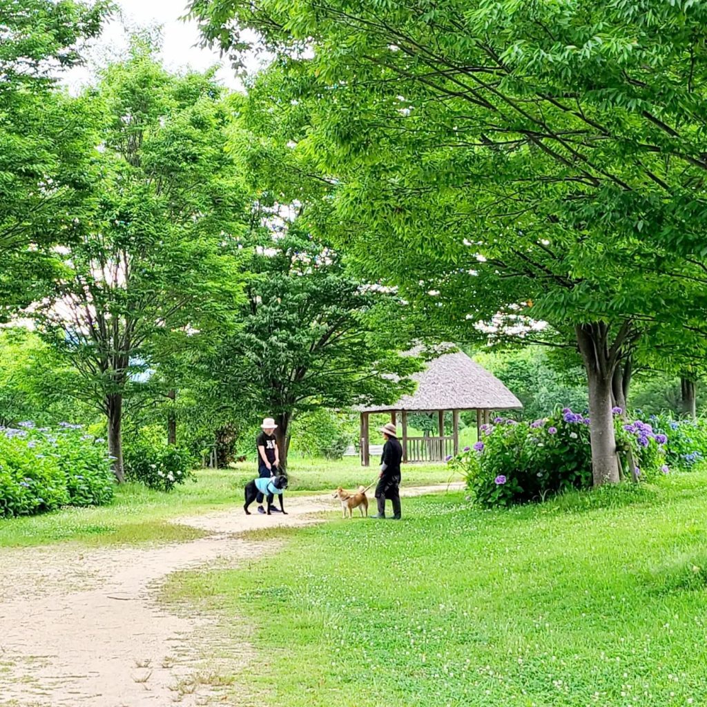 守山をキレイにし隊の皆さんと一緒に毎月恒例の朝活ゴミ拾いをしましたいつもありがとうございます